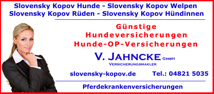 Slovensky-Kopov-Hunde